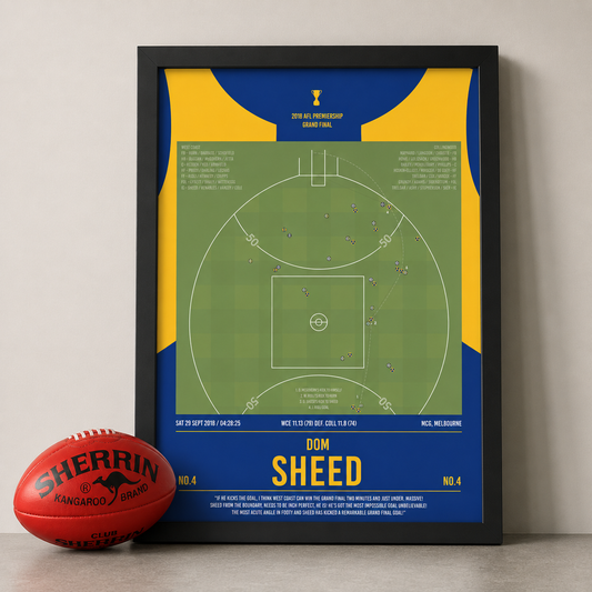 Dom Sheed's centimetre perfect goal to win the Grand Final!