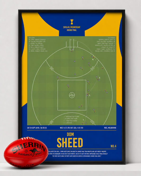 Dom Sheed's centimetre perfect goal to win the Grand Final!